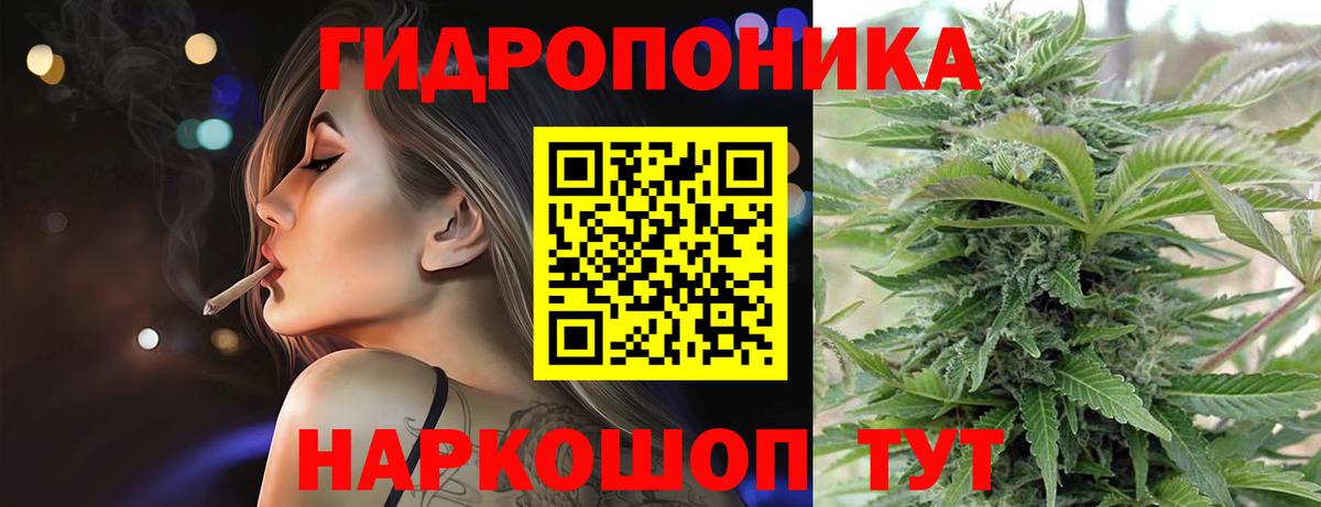 Шишки марихуана марихуана Севастополь